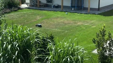 Robotic lawn mower cutting green lawn on a landscaped residential backyard besid Stock Footage 340320012
