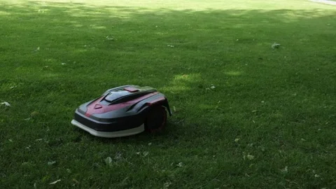 Robotic lawn mower on meadow. Stock Footage 311448210