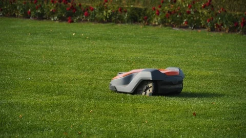 Robotic Lawnmower is working at cutting grass, modern device for housekeeping Video stock 119586920