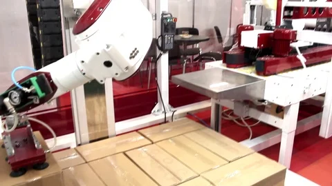 Robotic manipulator for packaging in a logistics warehouse. Stock Footage 118053979