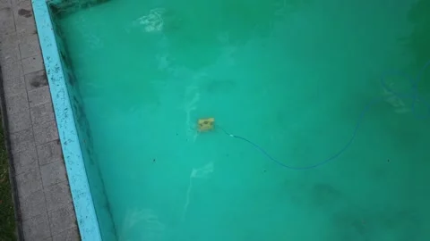 Robotic pool cleaner cleaning dirty swimming pool underwater Stock Footage 343628600