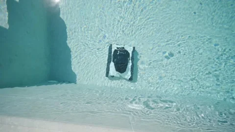 Robotic Pool Cleaner in Outdoor Pool Stock Footage 318748619