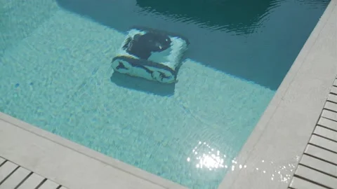 Robotic Pool Cleaner in Outdoor Pool Stock Footage 318748742