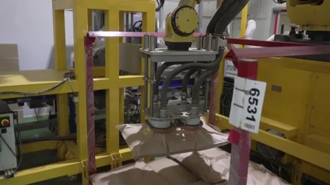 Robotic Vacuum Lifter Moving a Sack of Bulk Tea Stock Footage 340009919