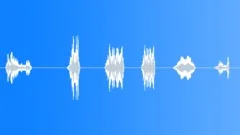 Robotic Vocalizing PackSound Effect