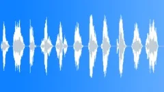 Robotic Voice Countdown 9 Sound Effect