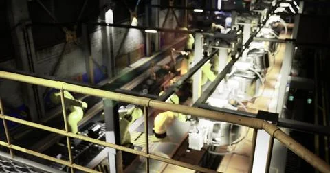 Robots and workers collaborate to streamline factory production Stock Illustration