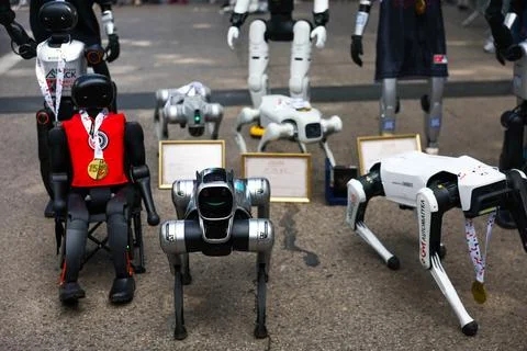 Robots compete in first nationwide Robot Run competition in Krakow, Poland - 06  Foto stock