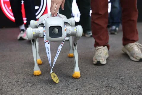 Robots compete in first nationwide Robot Run competition in Krakow, Poland - 06  Foto stock