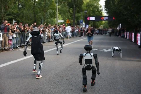 Robots compete in first nationwide Robot Run competition in Krakow, Poland - 06  Foto stock