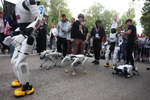 Robots compete in first nationwide Robot Run competition in Krakow, Poland - 06  Foto stock