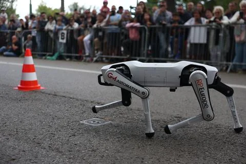 Robots compete in first nationwide Robot Run competition in Krakow, Poland - 06  Foto stock