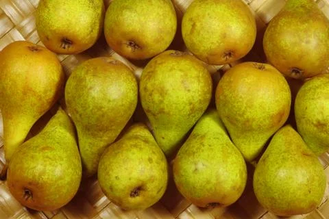 Robust, ripe pears Stock Photos