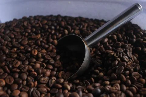 Robusta coffee after roasted Stock Photos