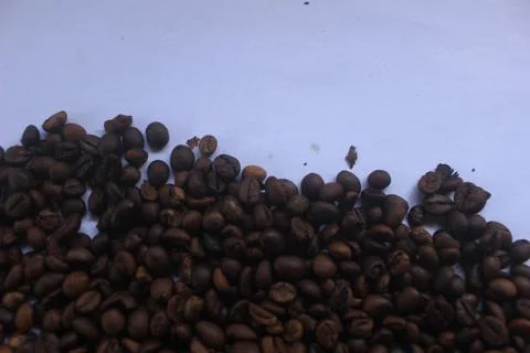 Robusta coffee after roasted Stock Photos