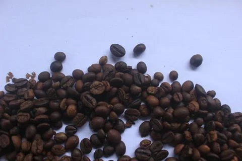 Robusta coffee after roasted Stock Photos