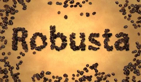 Robusta Coffee Bean on Old Paper Stock Illustration