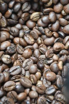 Robusta coffee beans 库存照片