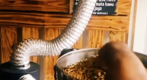 Robusta coffee, roasting process Stock Footage 168064650