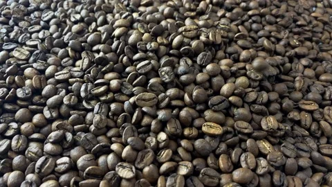Robusta Vietnamese coffee Stock Footage 169779983
