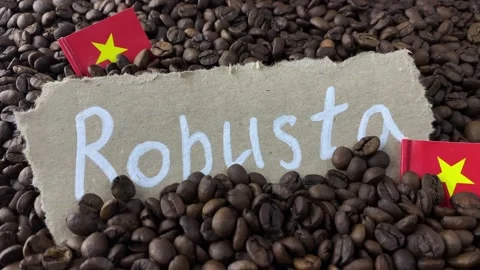 Robusta Vietnamese coffee Stock Footage 169780017