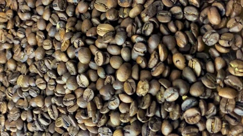Robusta Vietnamese coffee Stock Footage 169780061