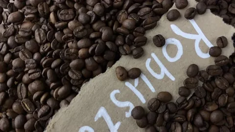 Robusta Vietnamese coffee Stock Footage 169780072