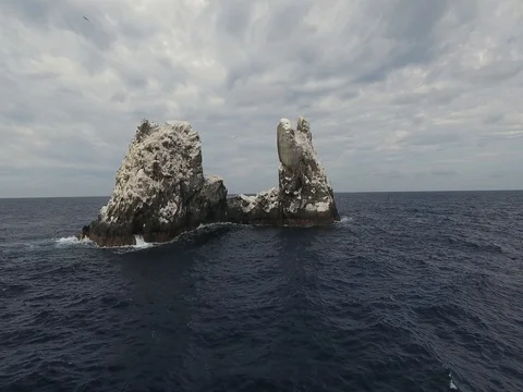 Roca partida, revillagigedo archipelago Stock Footage 84781530
