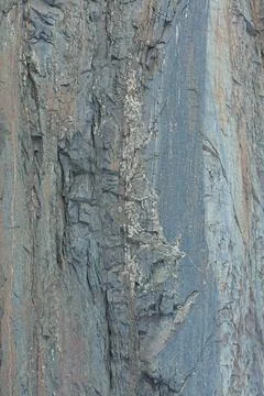 Rock abstract. Stock Photos