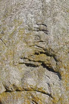 Rock abstract. Stock Photos