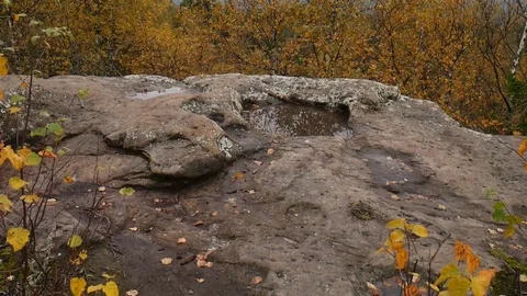 Rock against the background of the forest Stock Footage 80938666