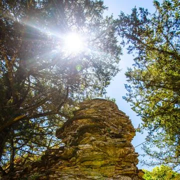 Rock against the background of trees and bright rays of the sun Stock Photos