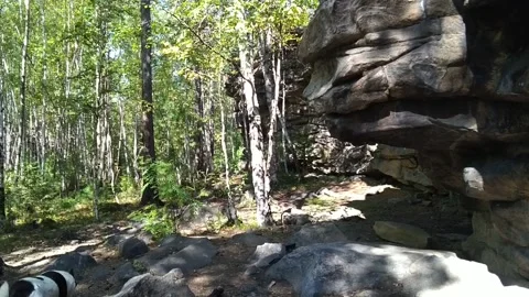 Rock and cliff Stock Footage 160807226