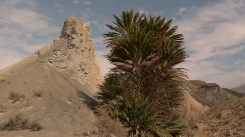 Rock and palm tree with blue sky Stock Footage 42225259
