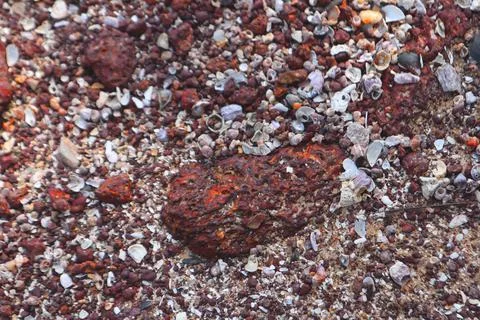 Rock and shell Stock Photos