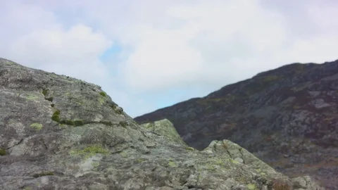 Rock and Shrub by River Видео 75566044