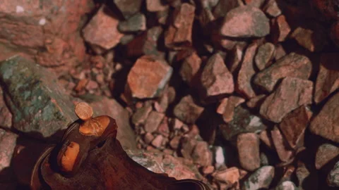 Rock and small mushroom on the ground in a natural environment Stock Footage 339872985