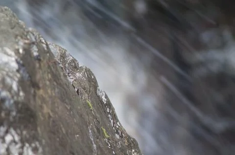 Rock and stream in the background, Integral Natural Reserve of Inagua. Stock Photos