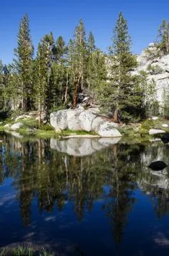 Rock and tree reflection Stock Photos