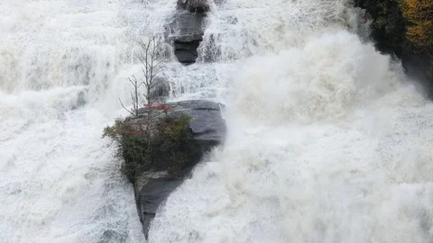 Rock and tree standing against roaring waterfall. Stock Footage 81035498