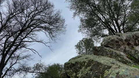 Rock and trees time lapse Video stock 78717402