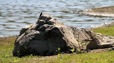 Rock and Water Stock Footage 856447