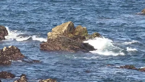 Rock and waves Stock Footage 77458774