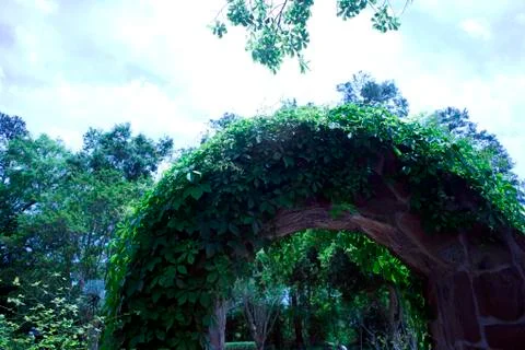 Rock Arbor Foto stock