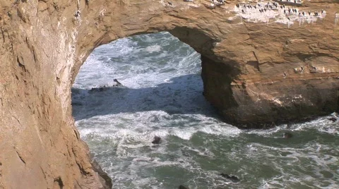  rock arch at ocean in Peru Stock Footage 156947
