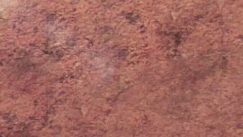 Rock art Rustic Goat Vídeo Stock 71108603