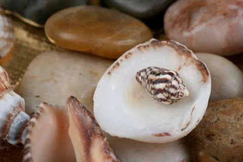 Rock background. Stock Photos