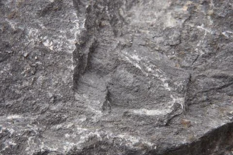 Rock background Foto stock