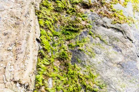 Rock Background Фото