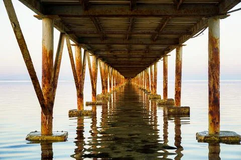 Rock barnacle under the bridge Stock Photos